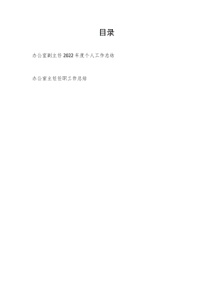2022年度办公室副主任个人工作总结和办公室主任任职以来工作总结.docx