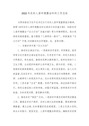 2022年农村人居环境整治年终工作总结2篇.docx