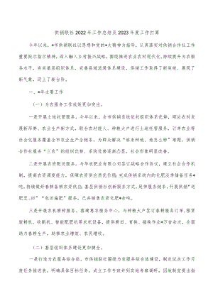 供销联社2022年工作总结及2023年度工作打算.docx