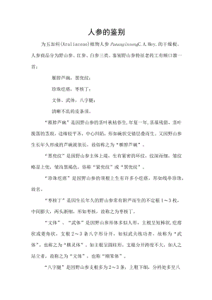 人参的鉴别.docx
