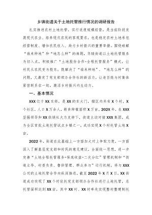 乡镇街道关于土地托管推行情况的调研报告.docx