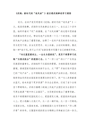 《武钢：新时代的“追风者”》读后感武钢事迹学习感悟.docx