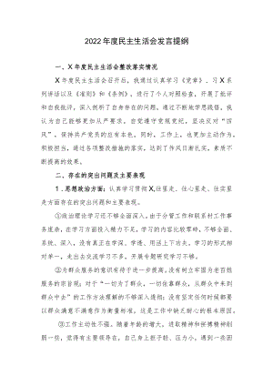 2022年度民主生活会个人发言提纲及整改清单.docx