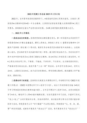2022年党建工作总结2023年工作计划.docx