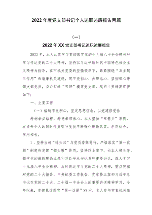 2022年度党支部书记个人述职述廉报告两篇.docx