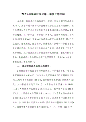 2023年某县民政局第一季度工作总结.docx