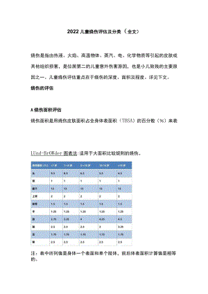 2022儿童烧伤评估及分类（全文）.docx