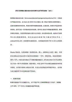 2022股骨髋臼撞击综合征的诊断与治疗研究进展（全文）.docx
