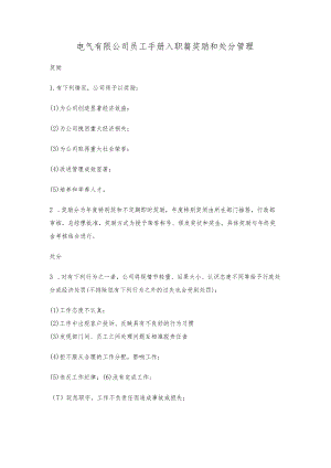 电气有限公司员工手册入职篇奖励和处分管理.docx