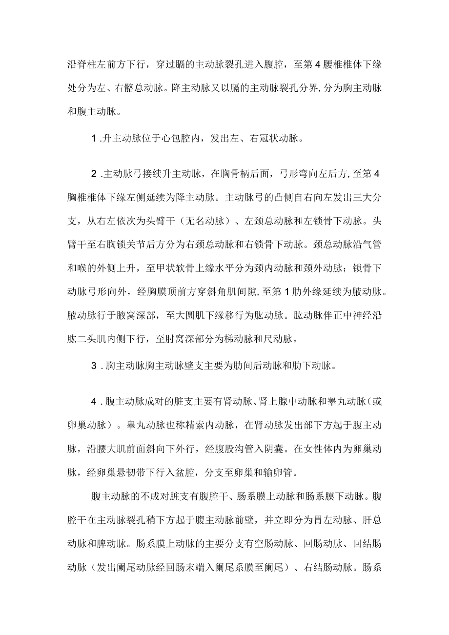 (必备)解剖学考试知识点整理大全.docx_第3页
