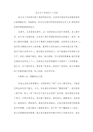 班主任工作培训个人总结.docx
