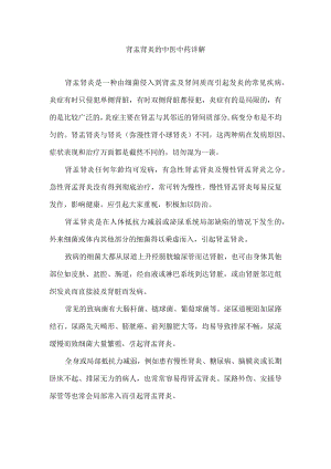 肾盂肾炎的中医中药详解.docx