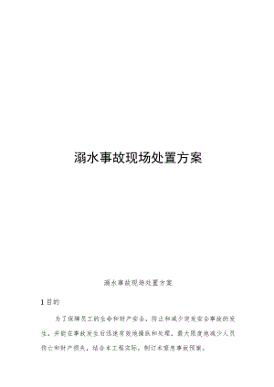 溺水事故现场处置方案（5页）.docx
