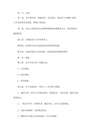 公司奖罚管理制度.docx
