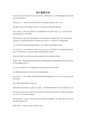 审计重要术语.docx