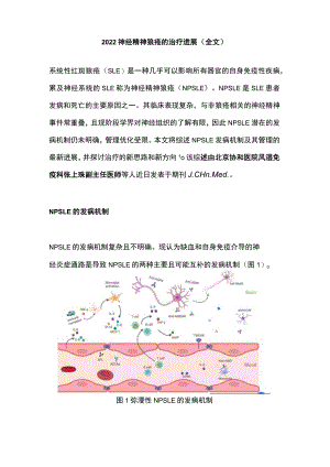2022神经精神狼疮的治疗进展（全文）.docx