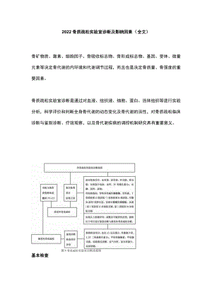 2022骨质疏松实验室诊断及影响因素（全文）.docx