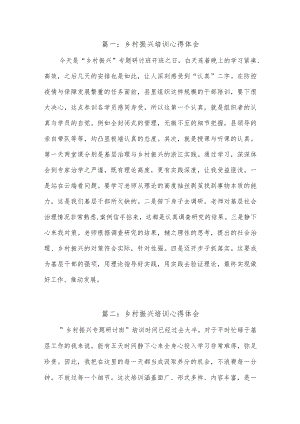 (10篇)乡村振兴培训心得体会.docx