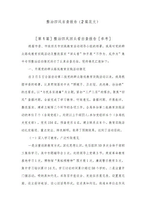 (2篇)整治四风自查报告.docx