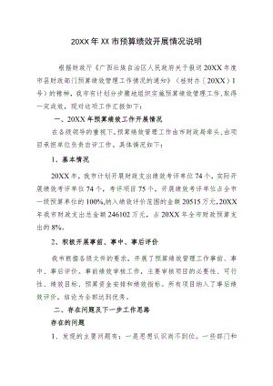XX市预算绩效管理工作总结.docx