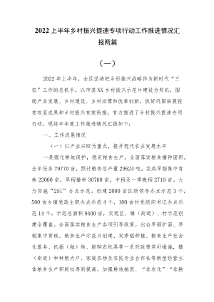 2022上半乡村振兴提速专项行动工作推进情况汇报两篇.docx