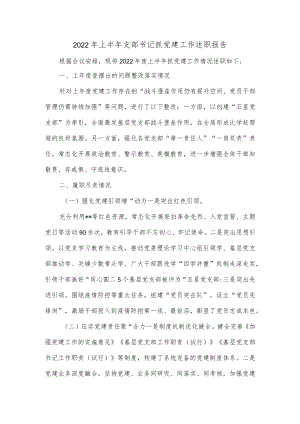 2022上半支部书记抓党建工作述职报告.docx
