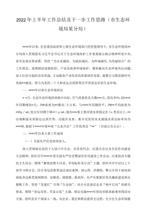 2022上半工作总结及下一步工作思路（市生态环境局某分局）.docx