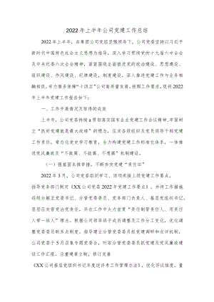 2022上半公司党建工作总结.docx