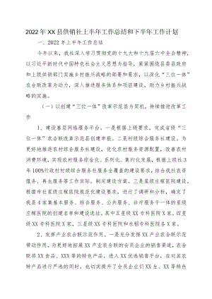 2022XX县供销社上半工作总结和下半工作计划.docx