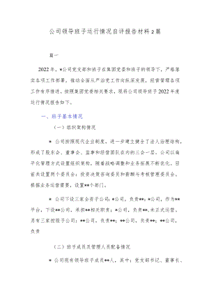 公司领导班子运行情况自评报告材料2篇.docx
