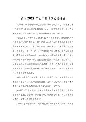 公司2022团干部培训心得体会.docx