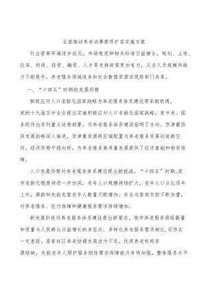 全面推动养老消费提质扩容实施方案.docx