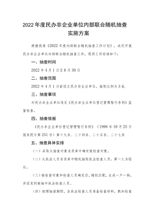 2022民办非企业单位内部联合随机抽查实施方案.docx
