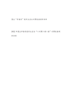 2022国企公司“学查改”组织生活会“六对照六看六查”个人对照检查检视剖析材料2篇.docx
