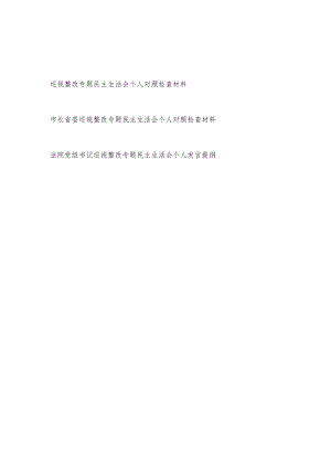 2022党员干部市长书记巡视整改专题民主生活会个人对照检查材料发言提纲3篇.docx