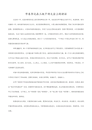 2022市委书记在三级干部大会上的讲话.docx