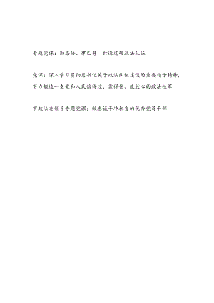 2022书记领导给政法队伍党员干部上的党课讲稿3篇.docx