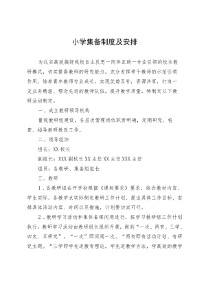 小学集备制度及安排.docx