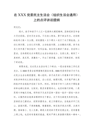 在党委民主生活会（组织生活会） 上的点评讲话提纲.docx