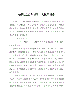 公司2022年领导个人述职报告.docx