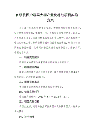 乡镇贫困户蔬菜大棚产业化补助项目实施方案.docx