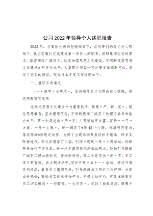 公司2022年领导个人述职报告.docx
