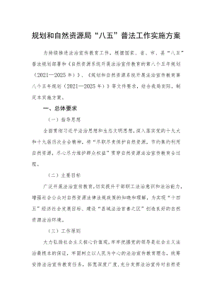 规划和自然资源局“八五”普法工作实施方案.docx