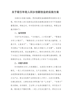 关于吸引年轻人回乡创新创业的实施方案.docx