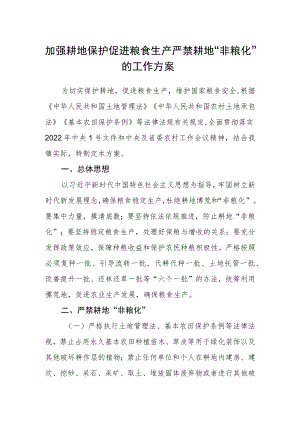 加强耕地保护促进粮食生产严禁耕地“非粮化”的工作方案.docx