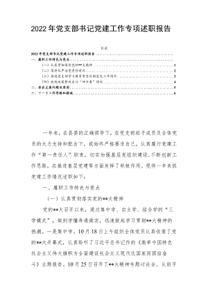 2022年党支部书记党建工作专项述职报告.docx