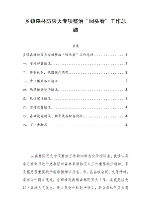 乡镇森林防灭火专项整治“回头看”工作总结.docx