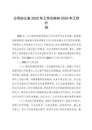 公司办公室2022年工作总结和2023年工作计划.docx