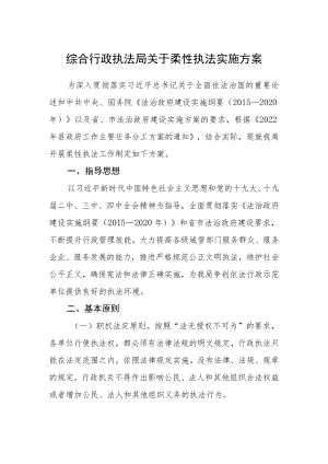 综合行政执法局关于柔性执法实施方案.docx