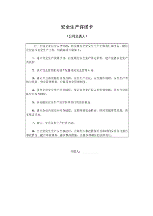 XX公司安全生产承诺卡模板.docx